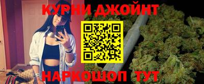 дживик Шелехов