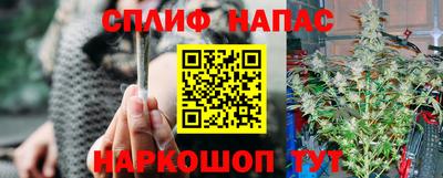 дживик Шелехов