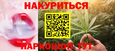 стафф Шебекино