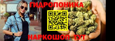 стафф Шебекино