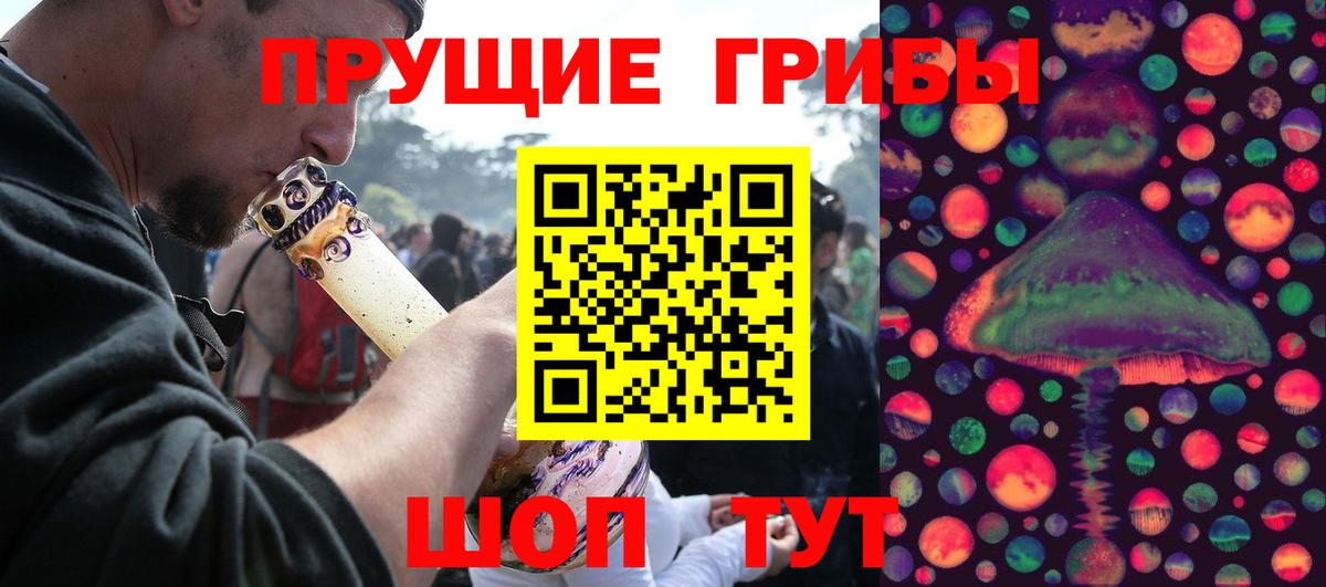 Псилоцибиновые грибы Psilocybine cubensis  Вход с VPN  Белая Калитва 